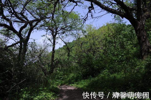 秦岭大山|好诡异！独自徒步空无一人的秦岭大山，突然出现一栋荒废的老屋