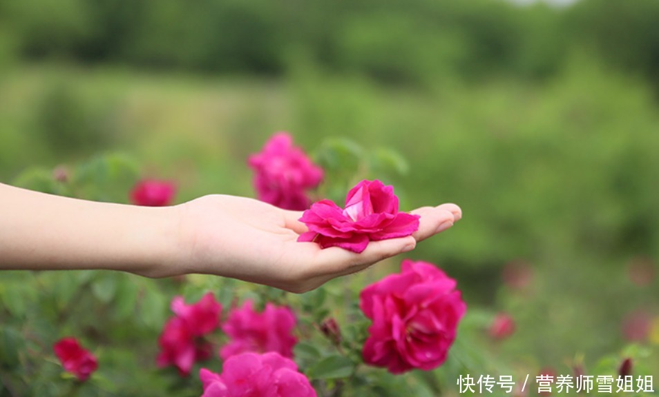 春季，重养生，多食三菜，常饮三茶，调好三气，打好全年健康基础