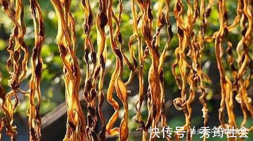 豆角|豇豆角现在正便宜，简单处理一下，留着冬天吃，炖肉蒸包子少不了