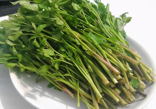 好吃|愛美女性多吃3種食物，營養豐富，滋潤肌膚，好吃又不貴！