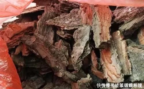 养花|没人要的小东西,可是养花宝贝,捡一点掺盆里,全年不用施肥