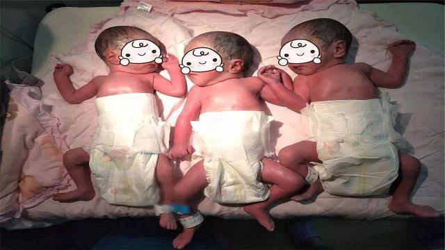 谢主隆恩|爸爸姓“陆”,给三胞胎孩子取了这个名字,一听就知道是一家人!