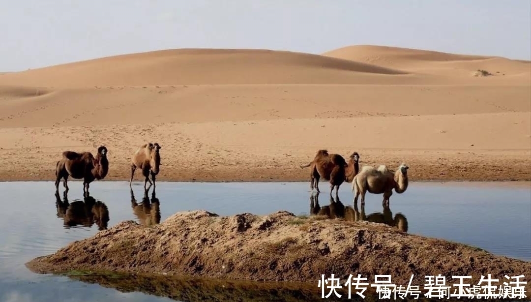 磁县|如果没有贺兰山，“塞上江南”将会怎么样中国自驾地理