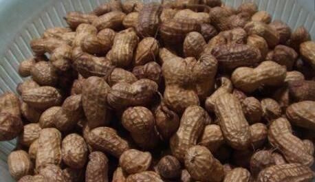  生吃花生还是熟吃花生差别原来那么大，吃对了，便是“长寿果”