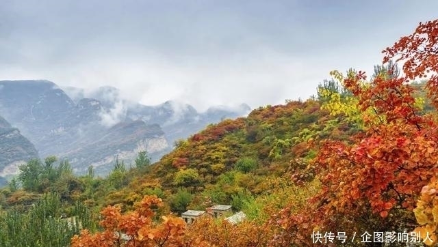 愿你能在对的时候，去到正确的地方，邂逅魂牵梦萦的秋