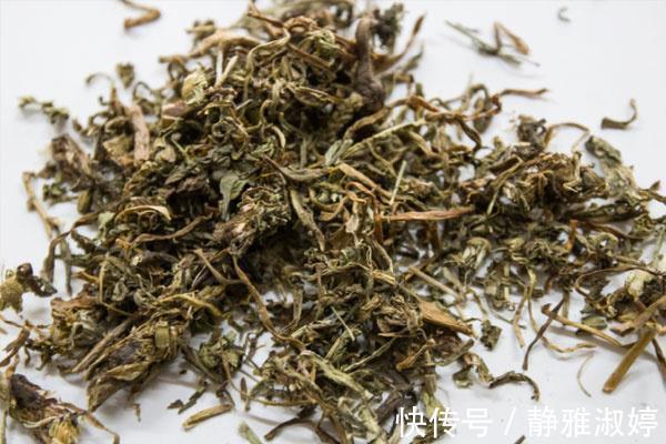 免疫力|蒲公英泡水加一物，坚持喝1个月，肝脏干净免疫力好