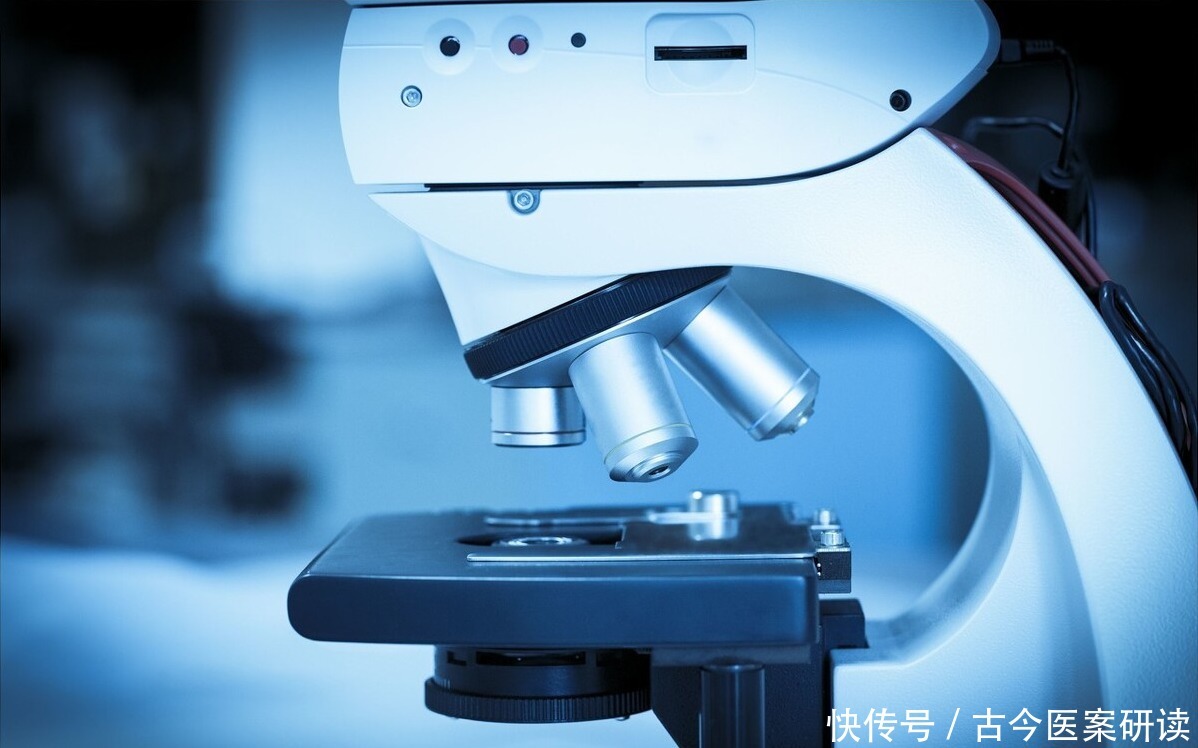 舒筋活络|老鹤草,老白鹤守护的“仙草”,全国各地都有长,常用于通经络