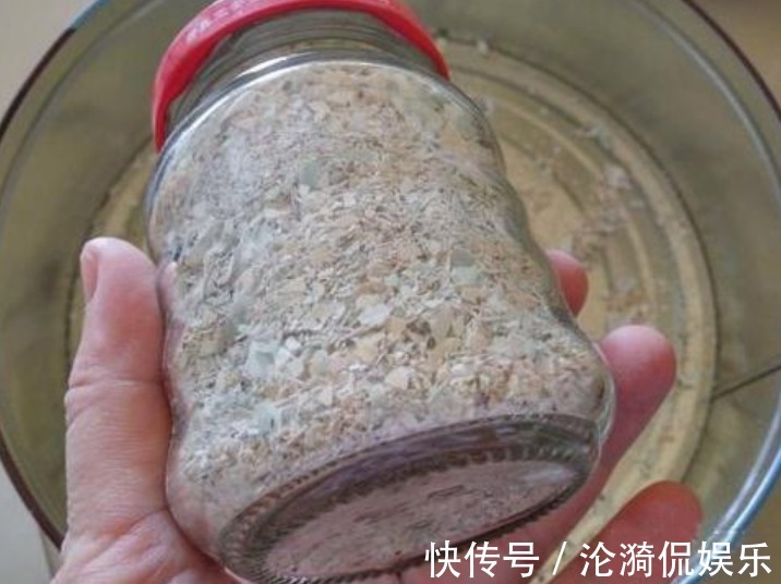 君子兰|养君子兰“不要等 ”,盆里加“1物”,快速出箭开出“大花球”!