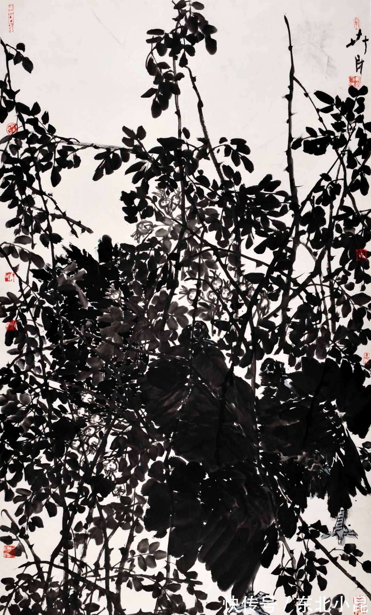 大写意@高卉民｜北方大写意花鸟画领军人
