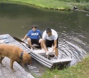 |搞笑GIF:不好意思打扰一下,请问你们是要组团去搞笑吗?