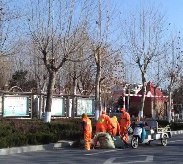 绿化带中的这2样,全是养花的宝贝,盆栽植物还能提供有机质