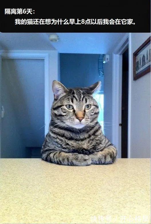 |我研究了近20年的泡妹教程 冷段子1404 & 去年今日1094