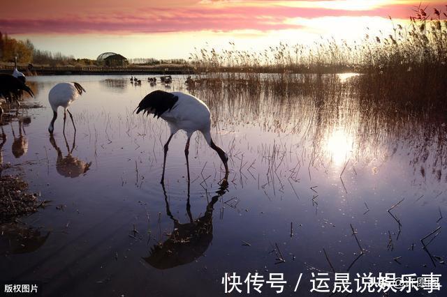 认知障碍|60岁以后,5件事不得不怕、不得不防!记住,并转告给老友们