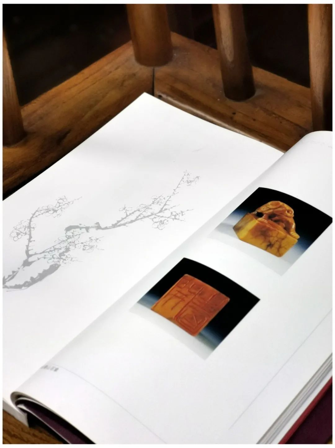 印章#齐白石传人、齐白石书画院院长-汤发周分享:见证齐白石与朱屺瞻友谊的一本书是什么?