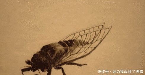 齐白石有多吝啬给友人画蒲扇仅添加一只苍蝇,如今苍蝇价值70万!