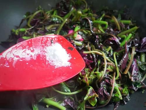 长寿菜|这菜可真是“一宝”，夏天吃最好，清热解暑，利尿除湿，不吃可惜