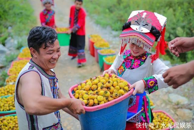 避暑胜地！“地无三尺平”的贵州，藏着一个大草原和一种传奇野果