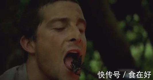 食物链|“食物链顶端”的贝爷，为何消失了？