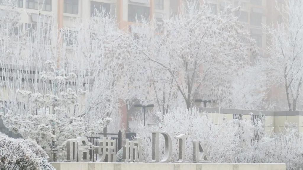 昨晚徐水又悄悄下了一场“雪”！