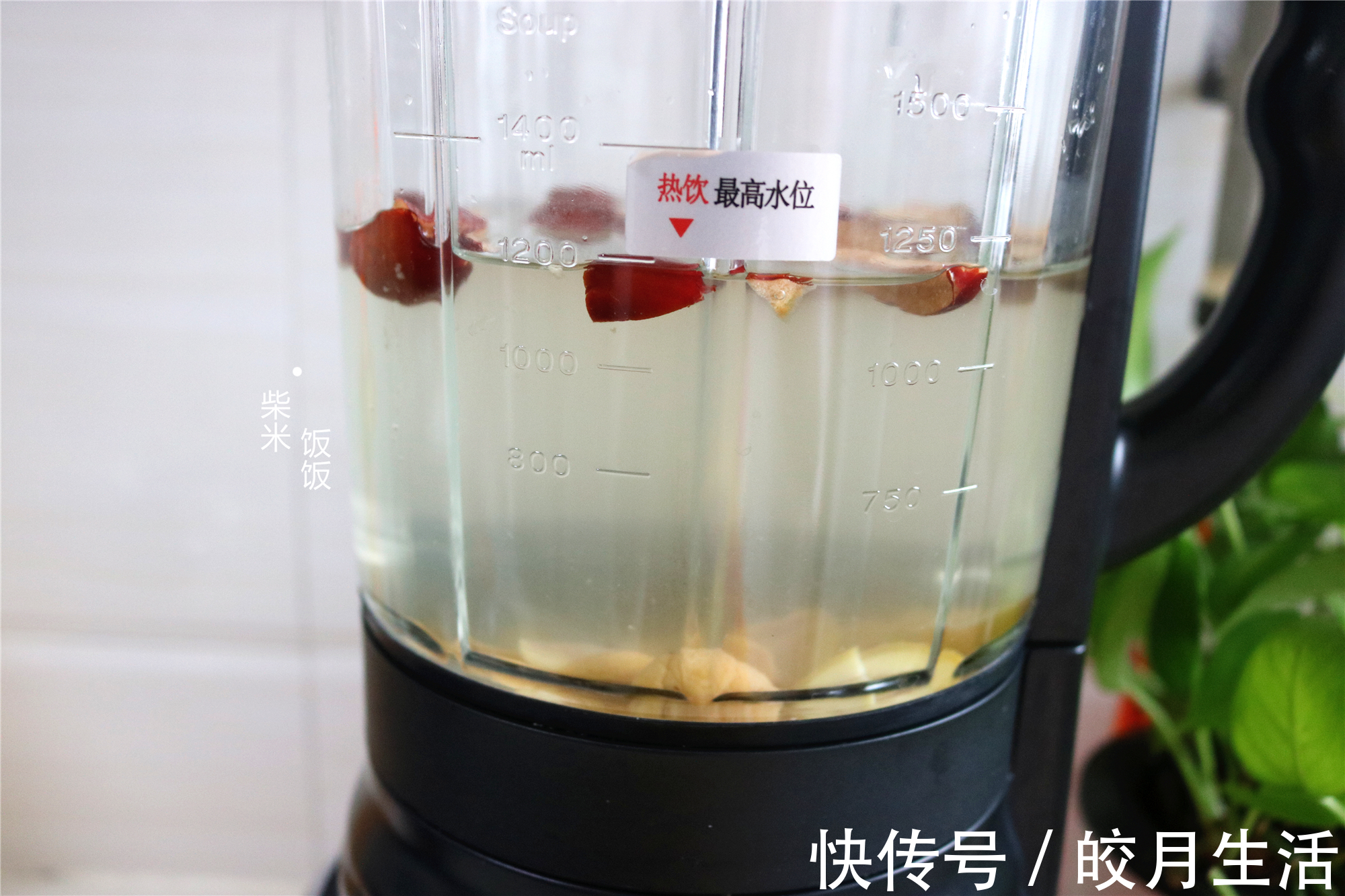 破壁机|秋天,这种坚果正大量上市,用来做豆浆又香又甜,别不懂得吃