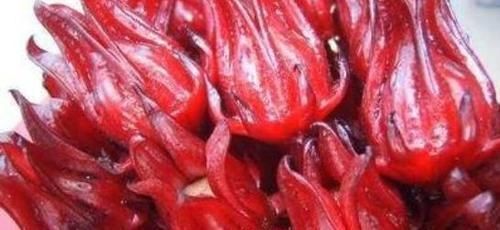 抗氧化剂|女性不想被人说老,坚持常吃以下食物,美容养颜,促进睡眠