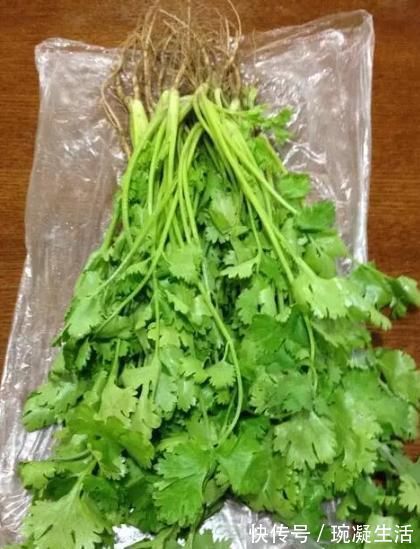 储存香菜,别再放冰箱了!20年大厨教你,放再久都不坏,翠绿新鲜!