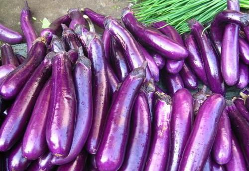 食物|女性养生,推荐3种食物,护肤养颜,排毒祛湿,谁吃谁受益