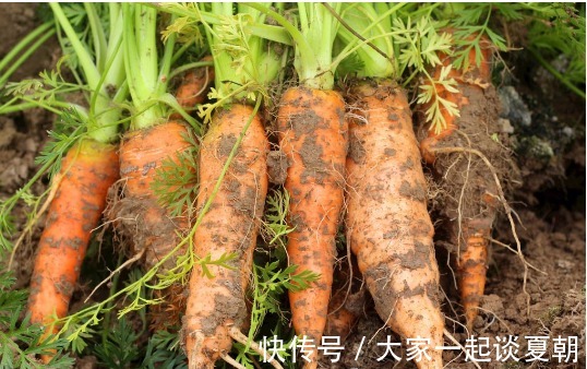 安神助眠|胡萝卜和此物一起煮,胃舒服了,不失眠了,视力也越来越好了