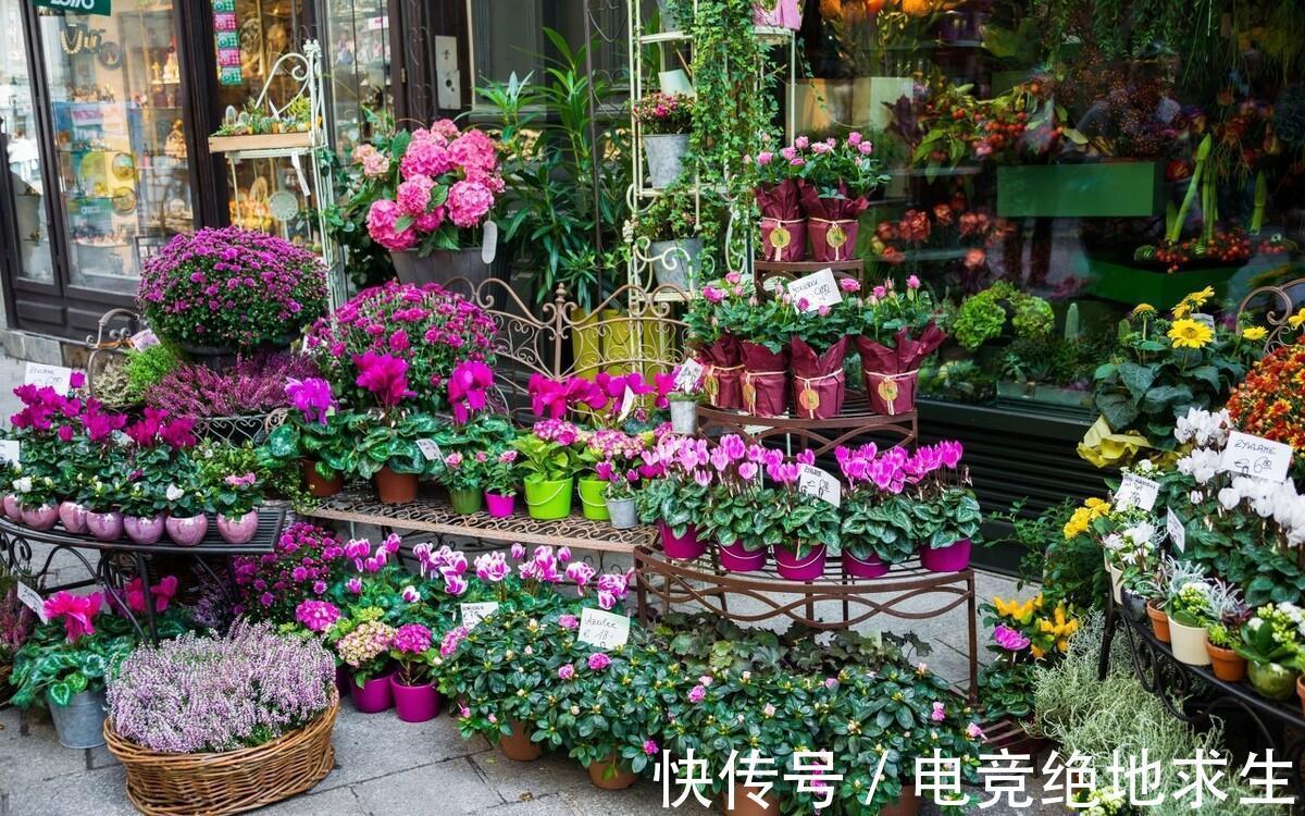 植物|连这些种花常识都不知道，你说你会养花