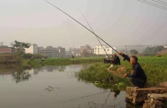野钓|悄悄告诉你,你的铅坠一直用错了,这样用野钓无敌!