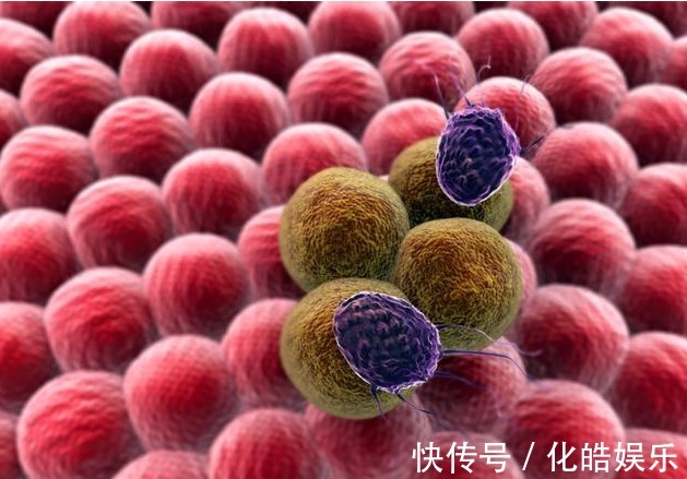 mr1|抗癌“神药”面世可杀死多种癌细胞,还不脱发!将进行人体实验