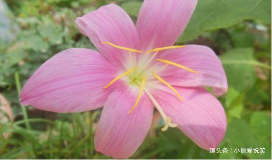 生活环境|“老来得福”的3生肖女,前半生为丈夫还债,后半生被丈夫宠坏