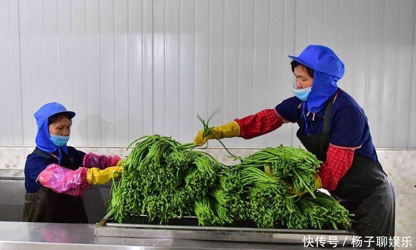 魅力|一碗粉有多大魅力半年产量翻了几倍,在海外热销,成为“名片”