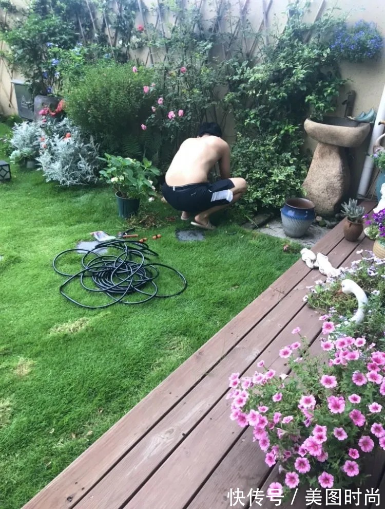 三角梅|120㎡别墅花园改造,经过三年的努力,小院从荒地到花开满园