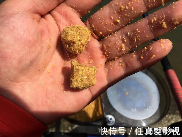 窝料能把多远的鱼诱过来，3米、5米还是10米？别再被骗了
