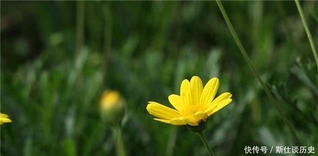 《道德经》中的三条“天规”,教你如何做人做事,无往而不利