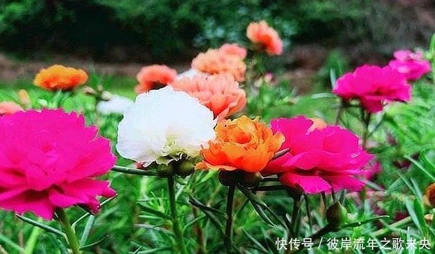 寓意积极向上的字