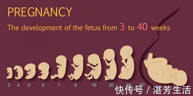 早产儿|胎儿多少周出生算正常？孕晚期这4点做到位，孕妈安心孩子足月生