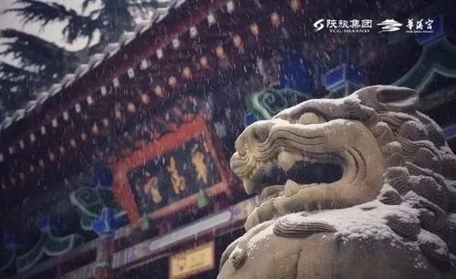 不见了纷扰|十二月，在华清宫等雪，也等你