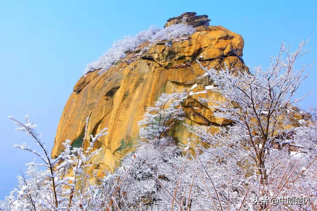 疫情|行走河南 读懂中国河南人游河南｜绿色崛起鸡公山 美好生活看信阳