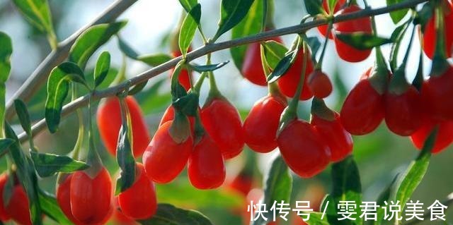 养生|红枣的“黄金搭档”找到了,搭配泡水喝,补气养血,让你面如桃花