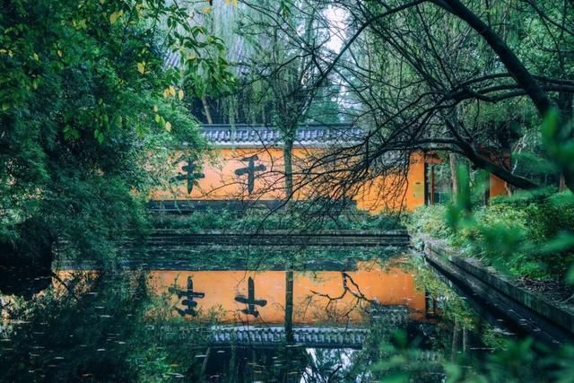 海棠!苏轼最经典的16首诗,一首一个名句,每一首都值得背下来