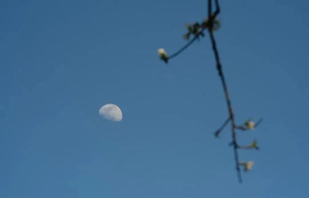 清风|茶苦如生命,茶香如爱情,茶淡如清风