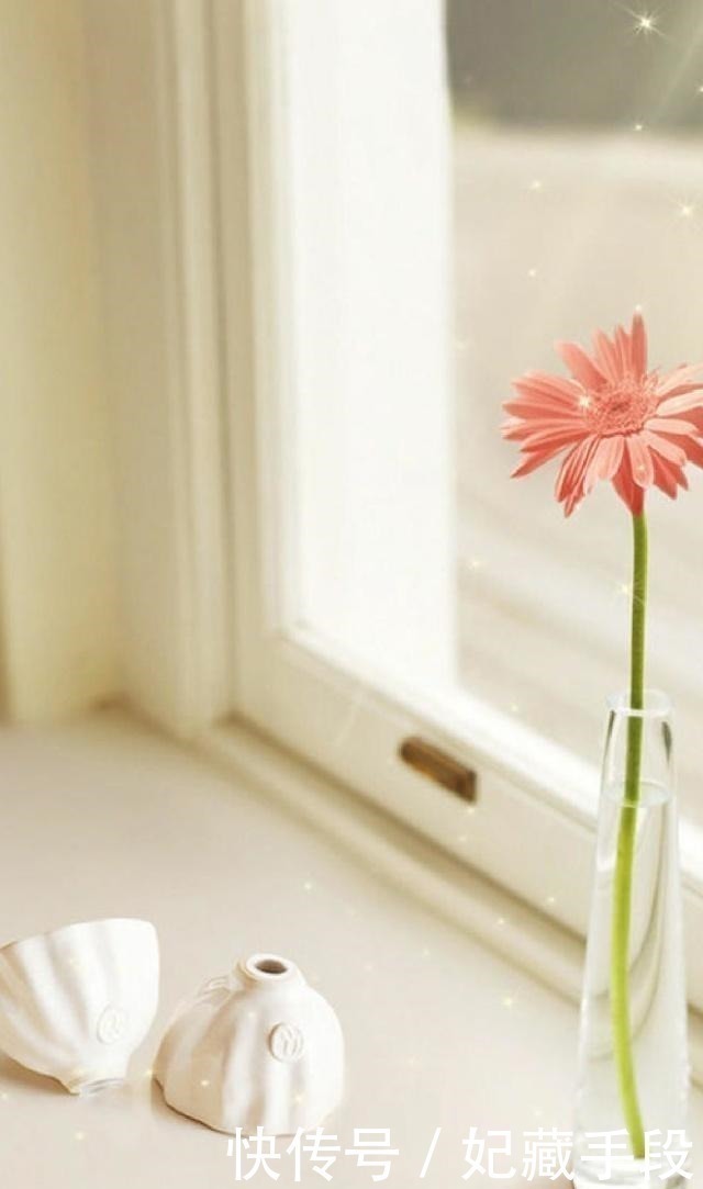 好女人!一生不可不读的25句经典语录,句句直指人心,让人赞不绝口