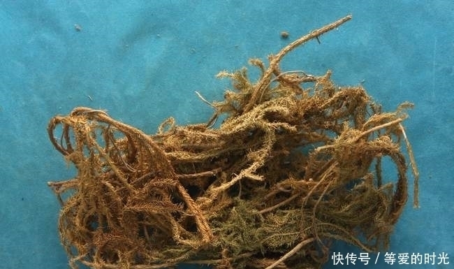 精力充沛|用这三味中药泡茶喝，精力充沛、延缓衰老，58岁像28岁！