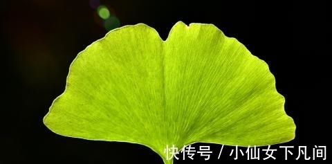 生肖兔属兔|往后3天，桃花漫天，和好在即，爱火重燃的生肖