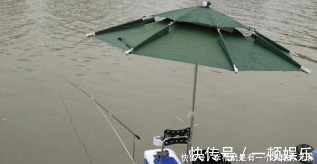 钓法|确认过眼神,草鱼只需按我说的钓,天气再冷也照样狂拔,莫忽视