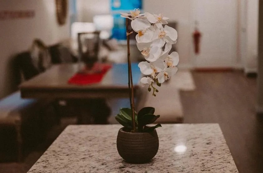 周易|灵魂，也需要不断保养！（火了）