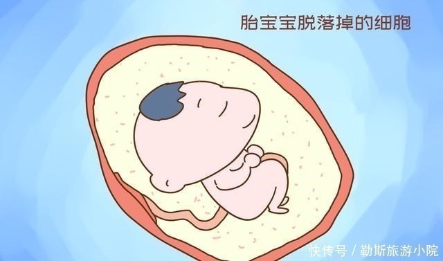 宝宝|宝宝的生命水为什么叫“羊水”,而不叫“牛水”,就是水吗