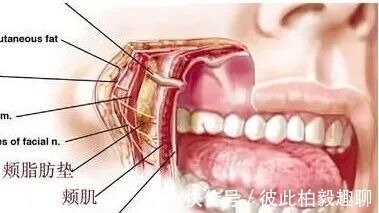 美白 这5个医美项目虽然很火,但很多医生不建议做!丨科普篇